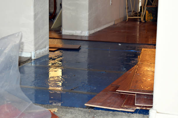 Professional Water Damage technician working in Woburn, MA